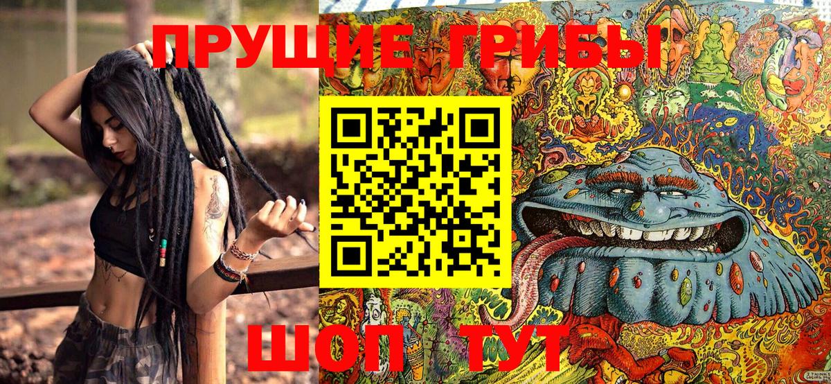 Псилоцибиновые грибы Psilocybe Ханты-Мансийск