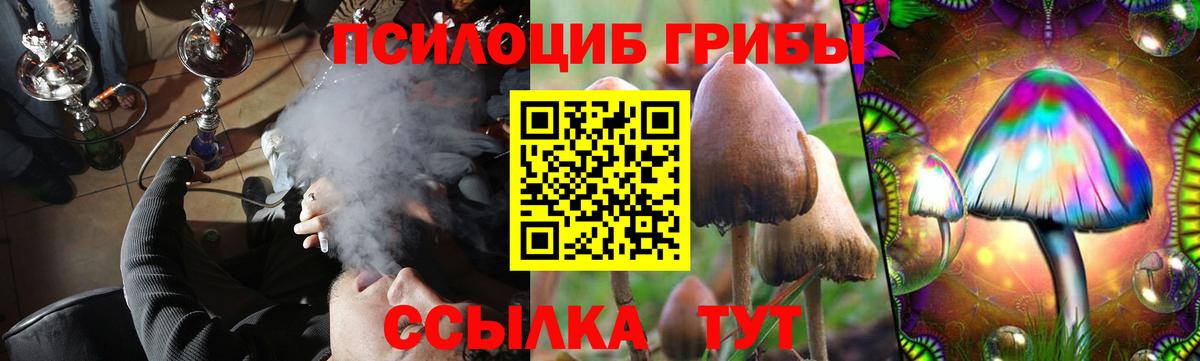 Ханты-Мансийск  Псилоцибиновые грибы мицелий  купить наркотик  Вход с VPN 